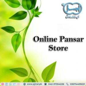 pansar store online