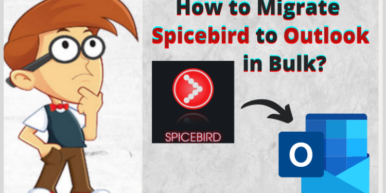 migrate spicebird to outlook