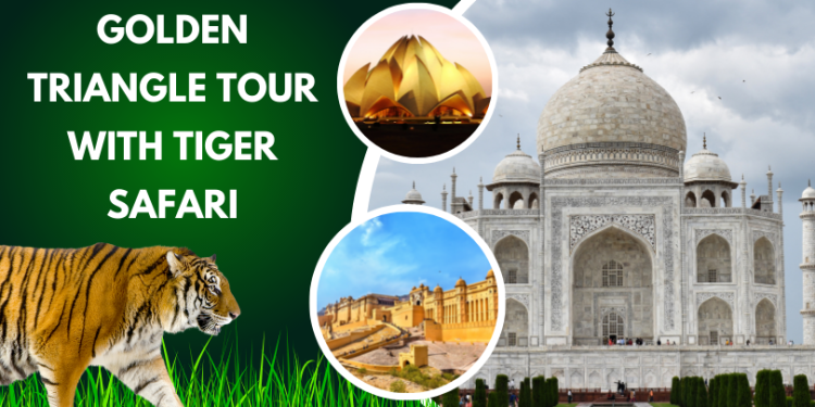 Golden Triangle Tour with Tiger Safari
