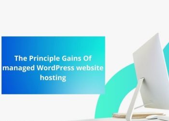 The Principle Gains Of managed WordPress website hosting