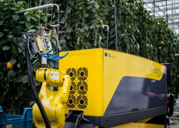 Now Robotic Machines can help farmers to choose ripened crops