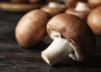 And about magic mushrooms ... eating two a day can 'free' you from cancer