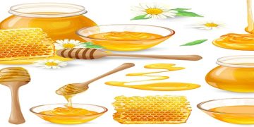 Set of vector illustrations of honey in honeycombs, in a jar dripping from a honey bucket, isolated on a white background in a realistic style. Template, design element, print.