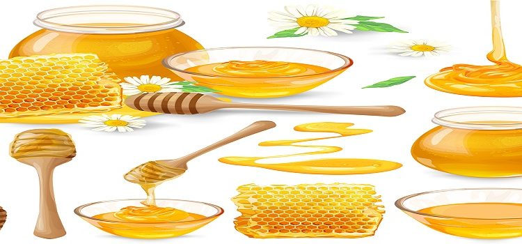Set of vector illustrations of honey in honeycombs, in a jar dripping from a honey bucket, isolated on a white background in a realistic style. Template, design element, print.