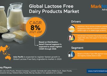 Lactose Free Dairy Ingredients Market