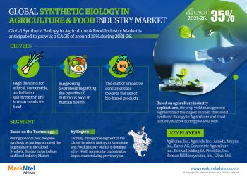 Synthetic Biology in Agriculture & Food Market