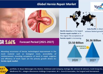 Hernia Repair Market