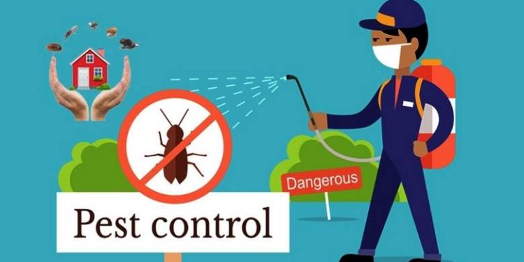 Pest Control In Oshawa