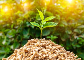 Asia Pacific Biomass Energy Market Report
