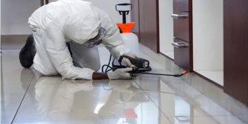 How An In-Home Pest Control Company Can Protect Your Home