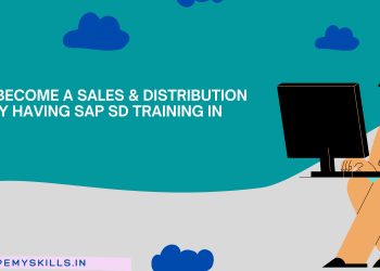 SAP SD Online Training | SAP SD Training in Delhi | SAP SD Training in Noida