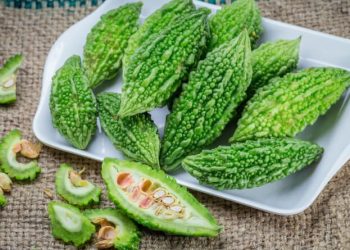 Bitter Gourds Are Good For Diabetics Find Out About Its Health Benefits