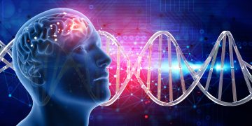 3D medical background with male head and brain on DNA strands