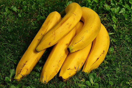 organic banana market