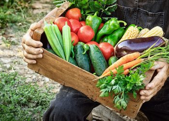 How to Start a CSA Box to Sell Produce