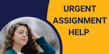 urgent assignment help