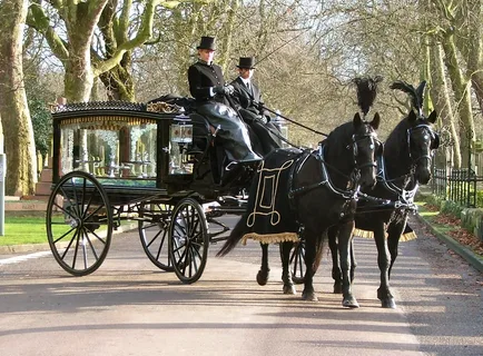 phillips horse drawn funeral
