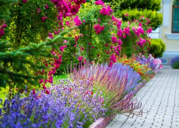 beautiful landscaping with beautiful plants and flowers